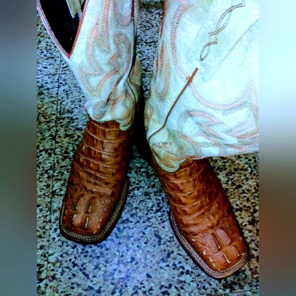Men's 7D Gator Boots From Cavenders Some Scuff Marks on Front No Holes or Tares